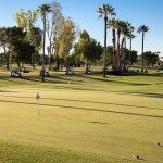 azmn-golf_018